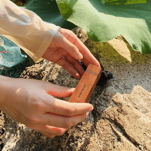 广州软件学院致2021届毕业生 一份承载时光与未来的专属礼物，请查收